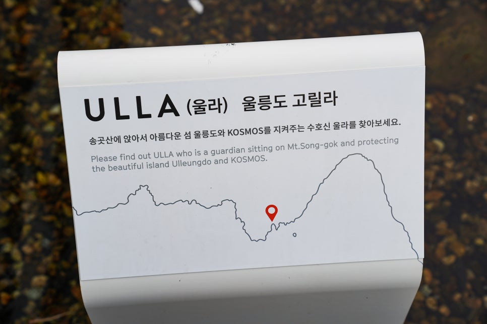 고릴라카페 이미지