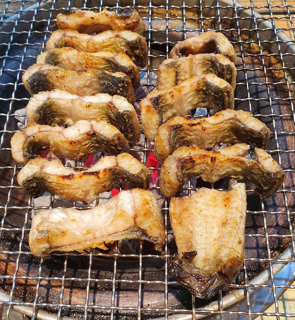 세미장어 이미지