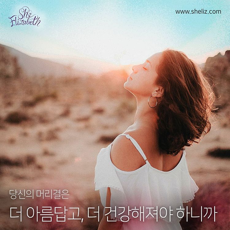 리즈코퍼레이션 이미지
