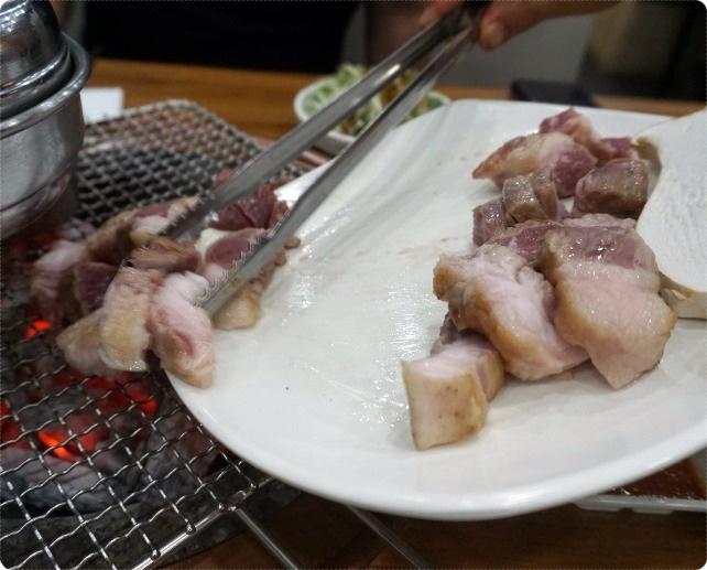 제주도야지 이미지