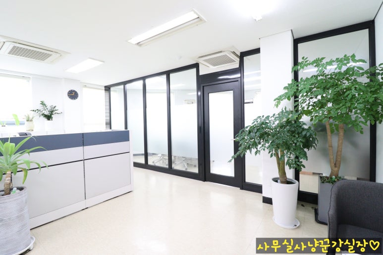 호수회계법인 이미지