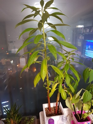 그루비주얼(주) 이미지