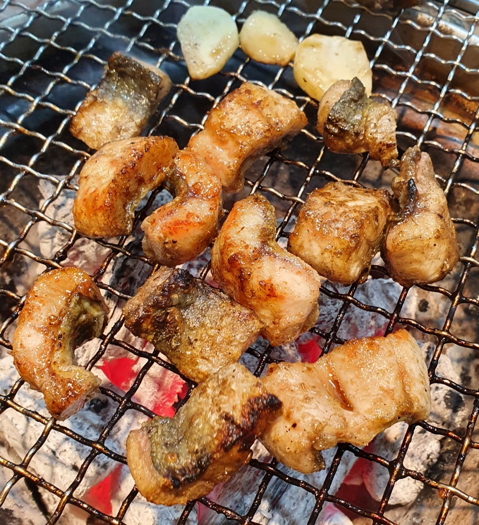 세미장어 이미지