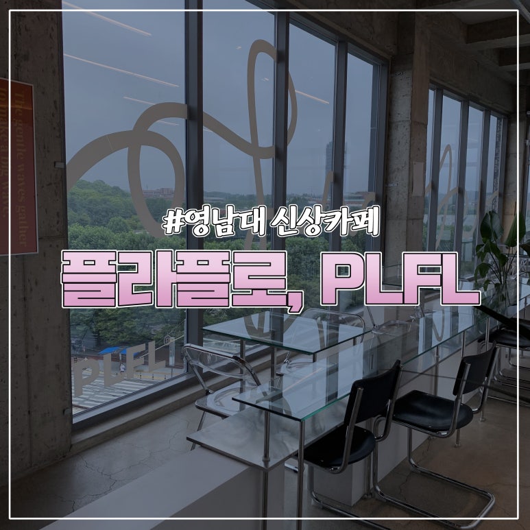 플라플로 이미지