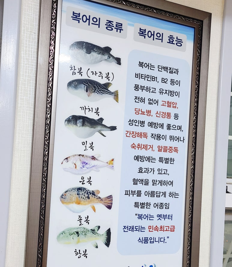 거제복국 이미지