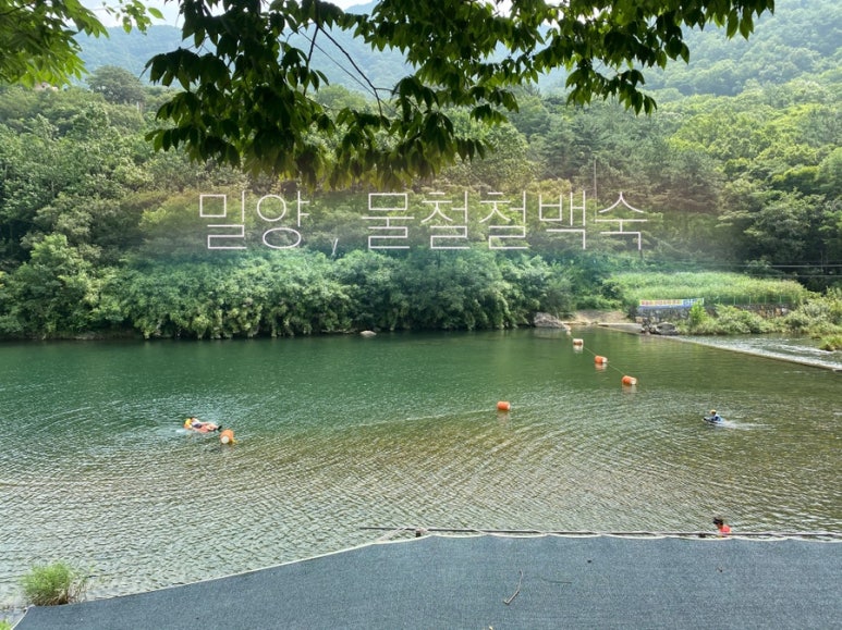 물철철백숙 이미지