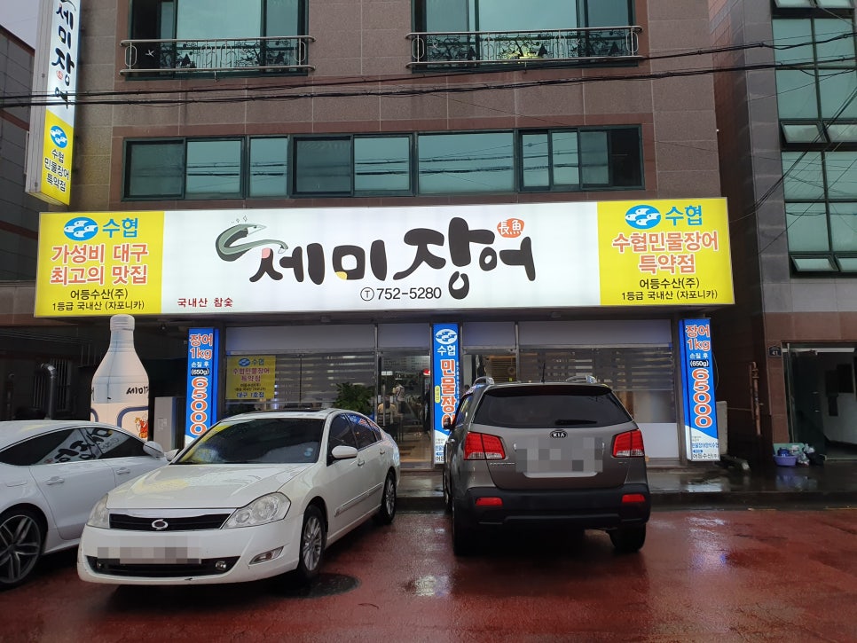 세미장어 이미지