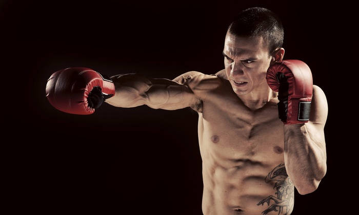 타이틀복싱킥복싱MMA우슈 이미지