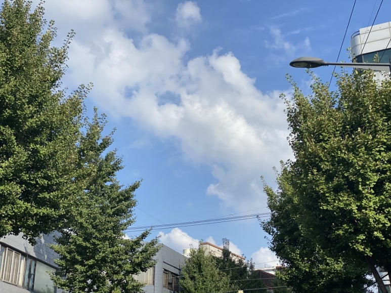 벵땅(vingt ans) 이미지