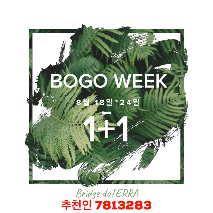 도테라코리아(유) 이미지