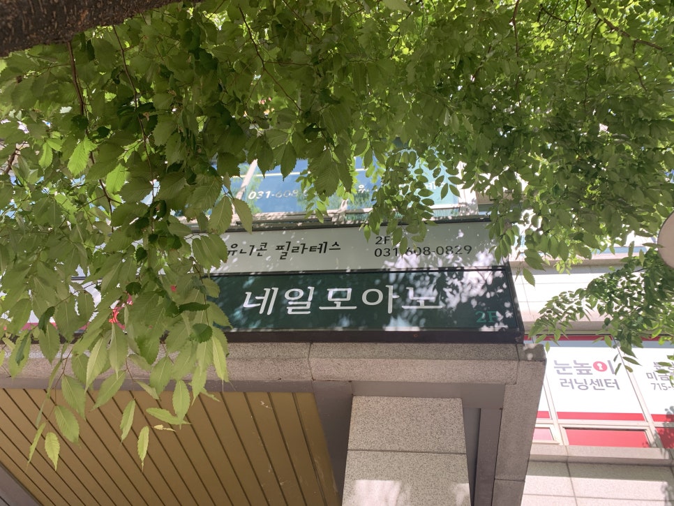 네일모아노 이미지