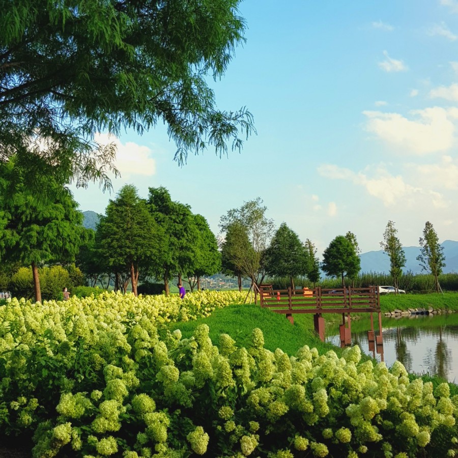 평사리상회 이미지