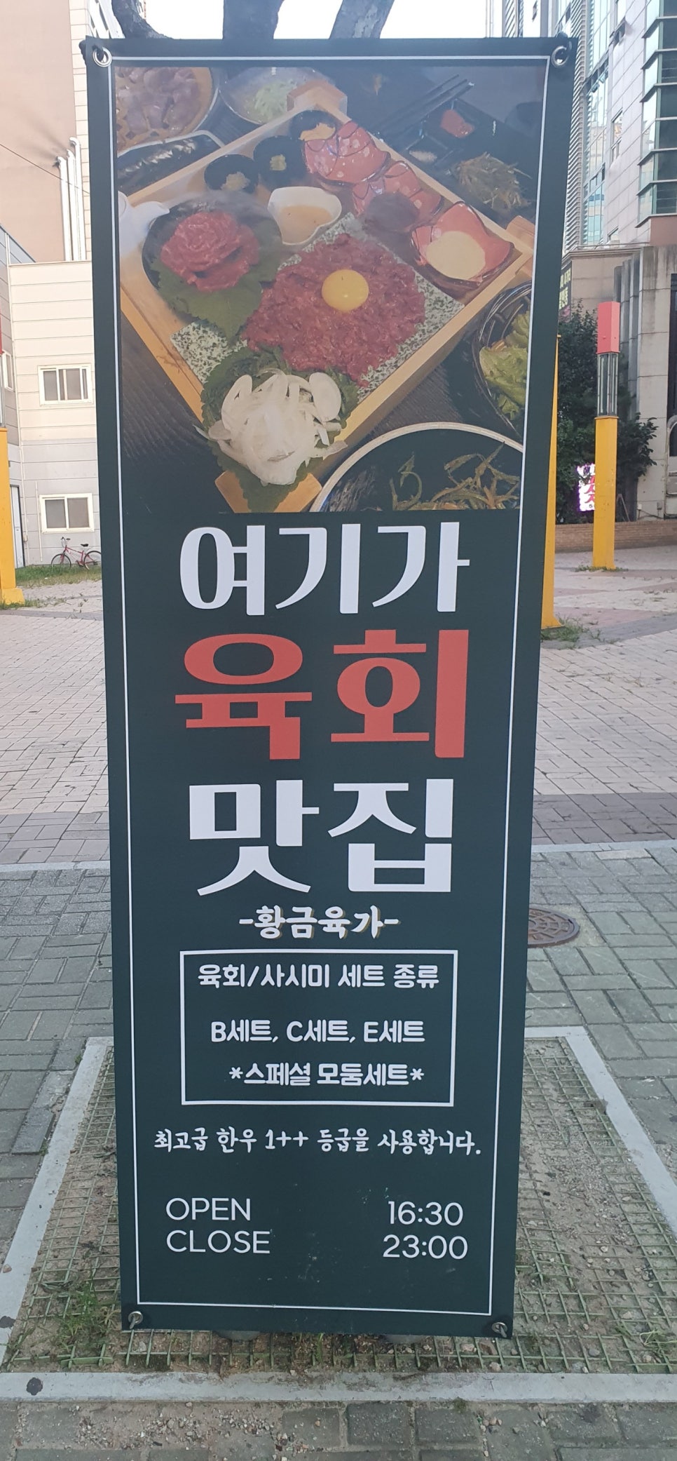 황금육가 이미지