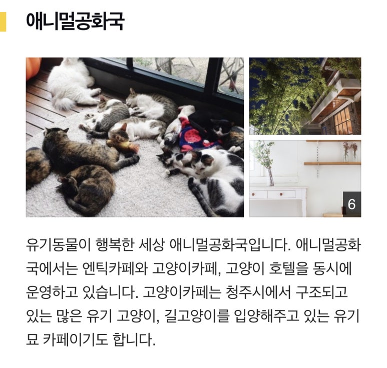 애니멀공화국 이미지