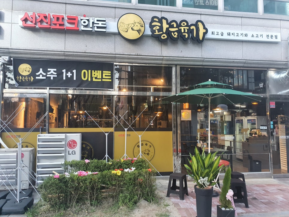 황금육가 이미지