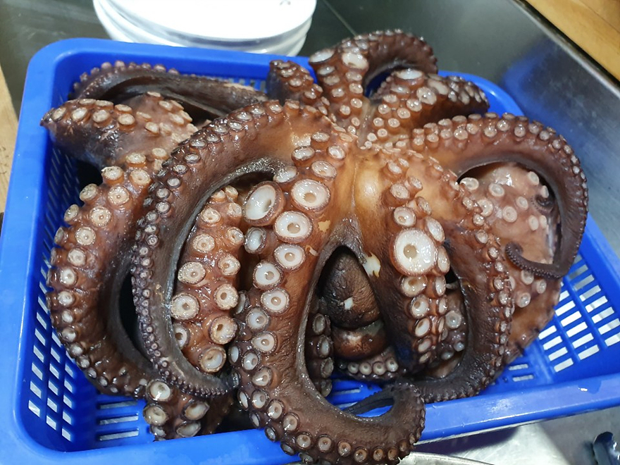 울릉도식당 이미지