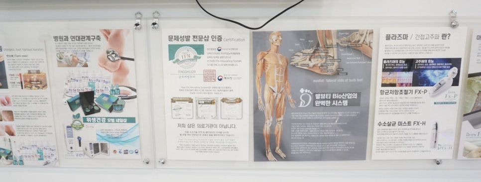 손토비발토비 이미지