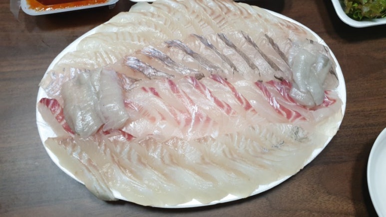 파닥파닥회참치 이미지