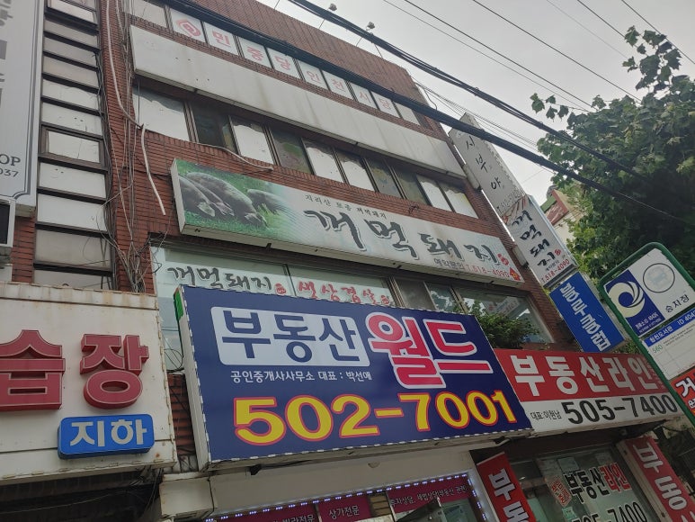 지리산토종꺼먹돼지 이미지