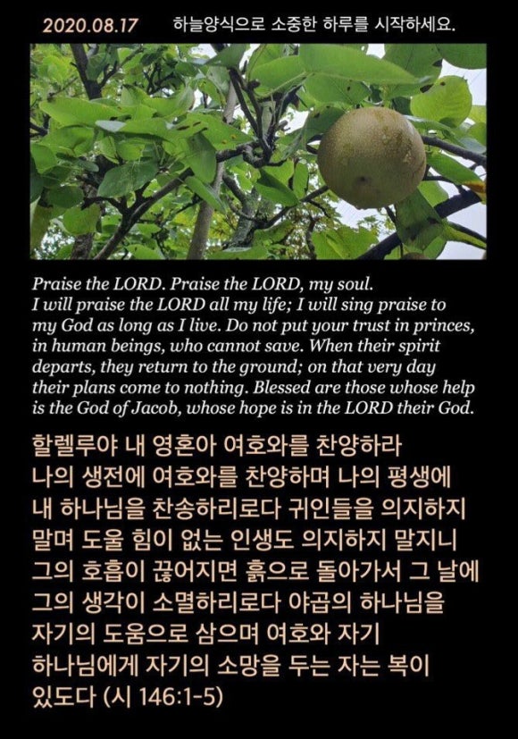 유행가노래 이미지