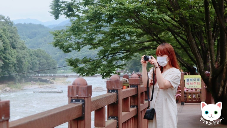 다우리닭강정 이미지