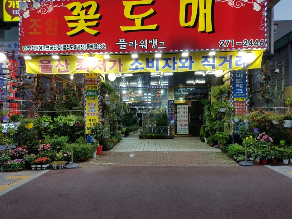 플라워뱅크 이미지