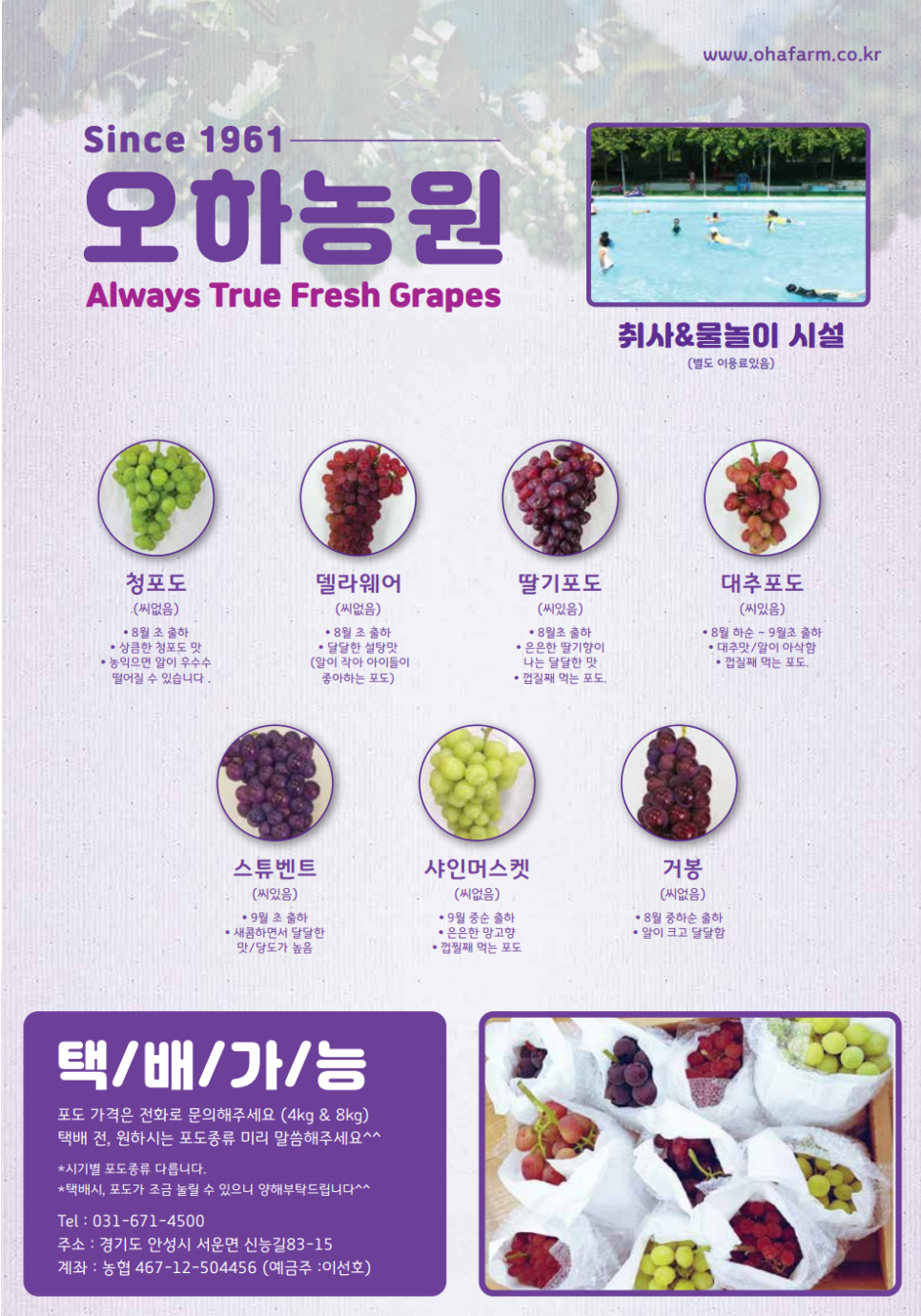 오하포도농원 이미지