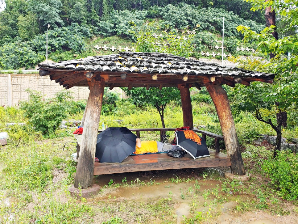 비1238 이미지