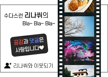 고요달스튜디오 이미지