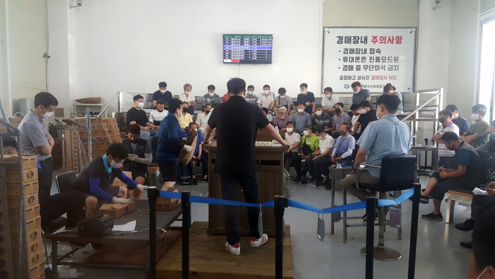 오가네건어물 이미지