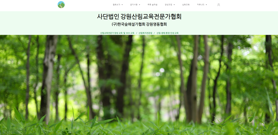 강원산림교육전문가협회 이미지