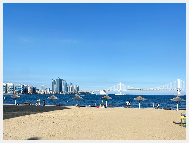 미스터스시 이미지
