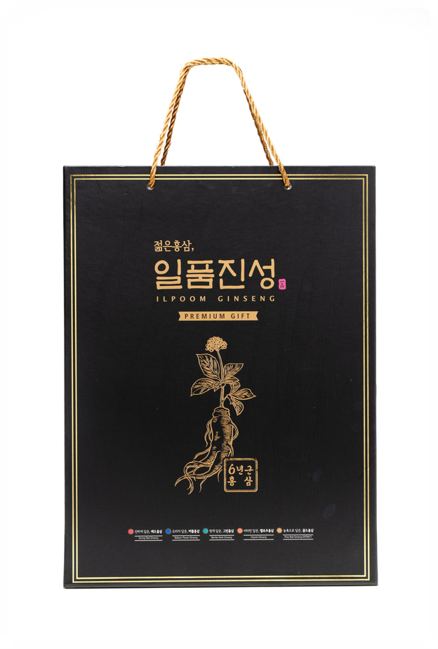 일품진성 이미지
