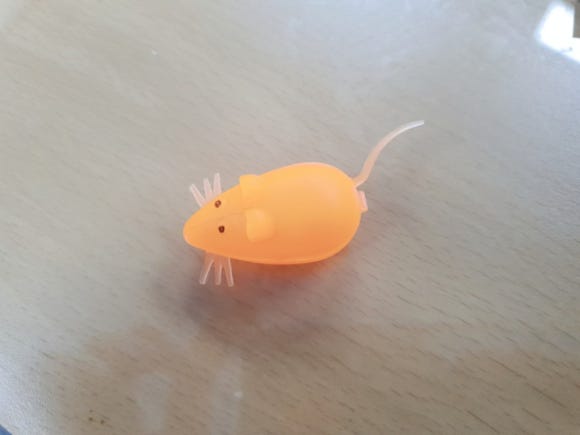 허치과의원 이미지