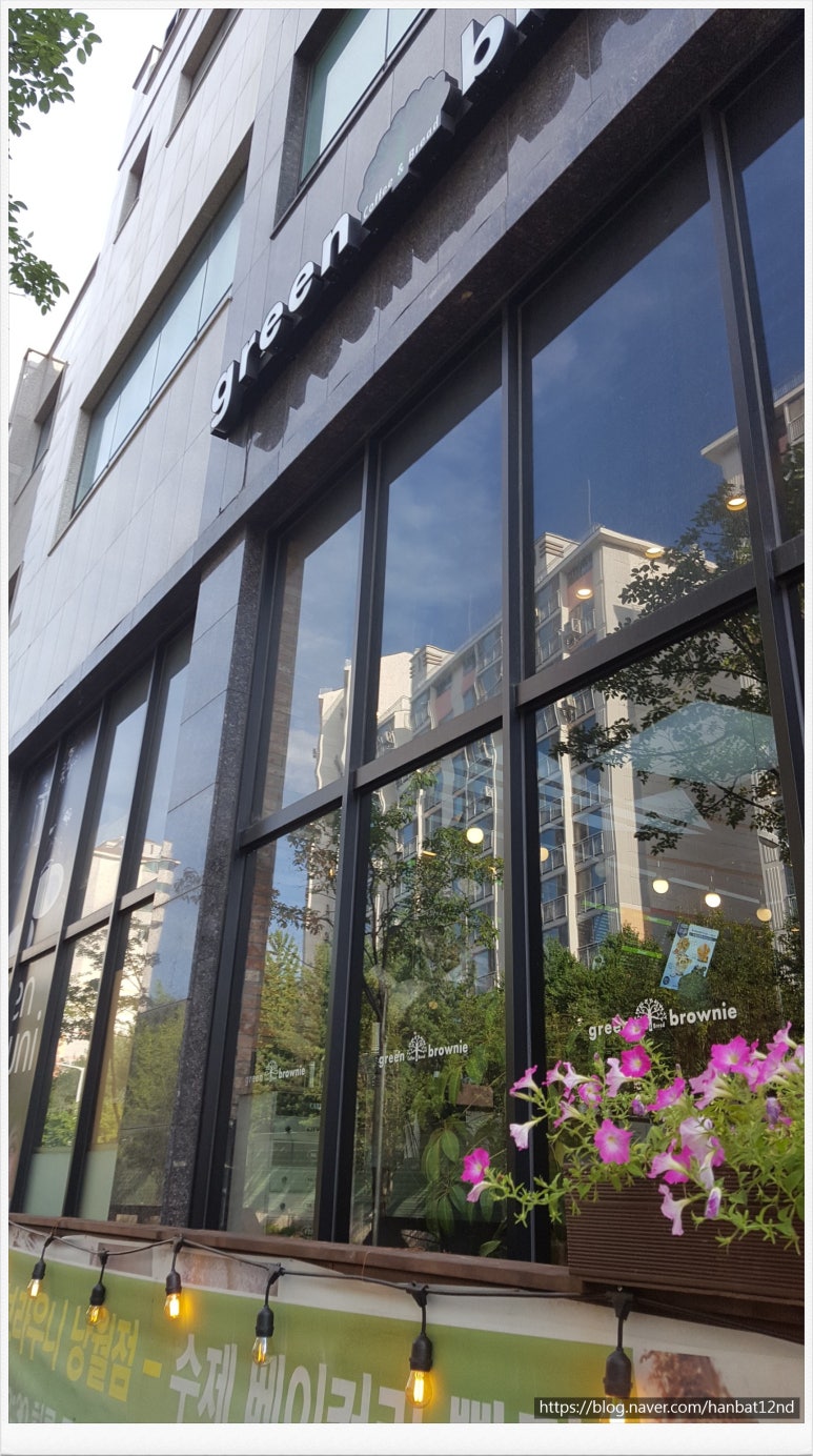그린브라우니(낭월점) 이미지