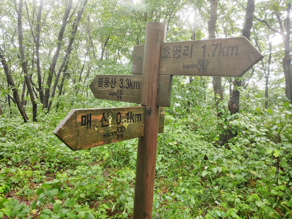 비1238 이미지