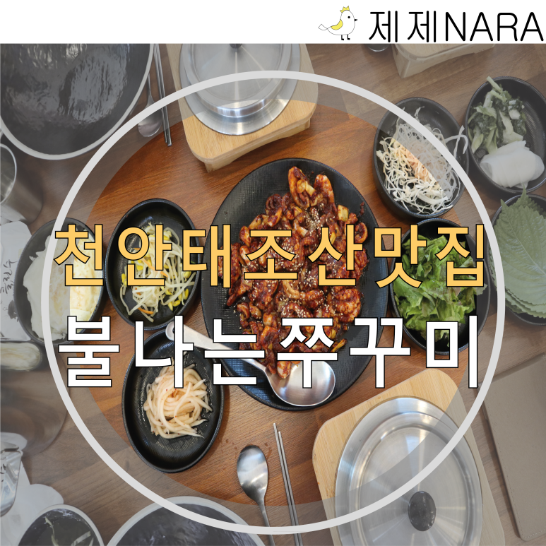 불나는쭈꾸미유량점 이미지