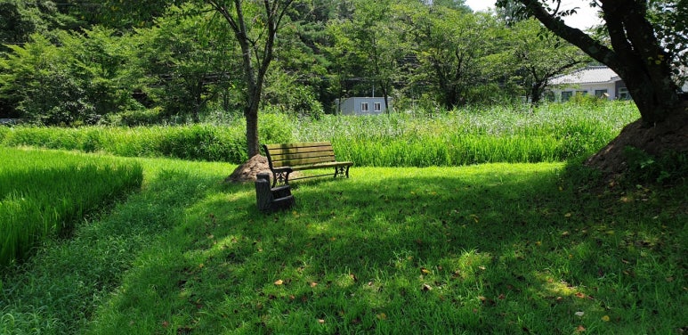 용호나드리 이미지