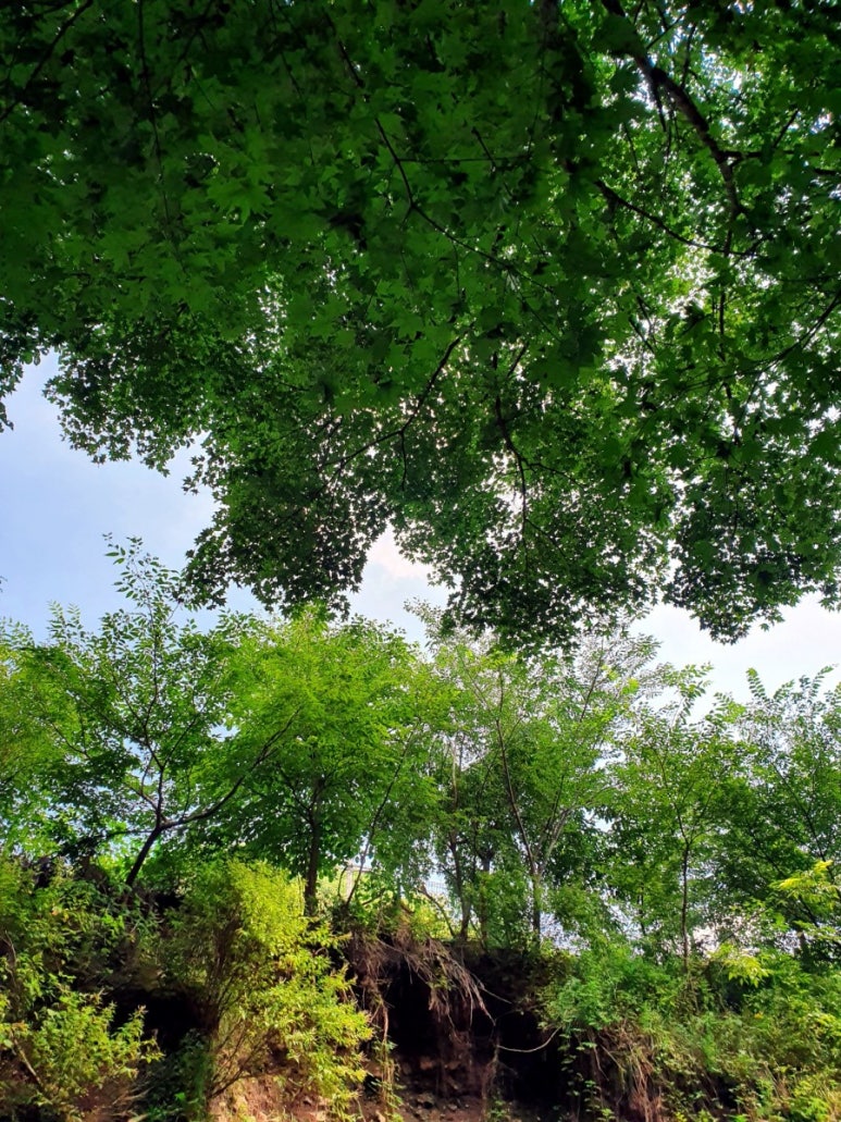 다다른민박 이미지
