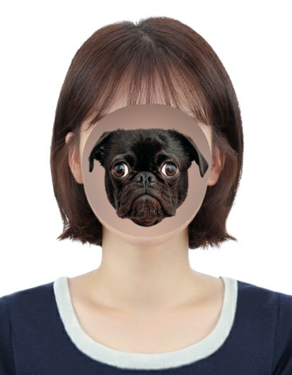 미담사진관 이미지