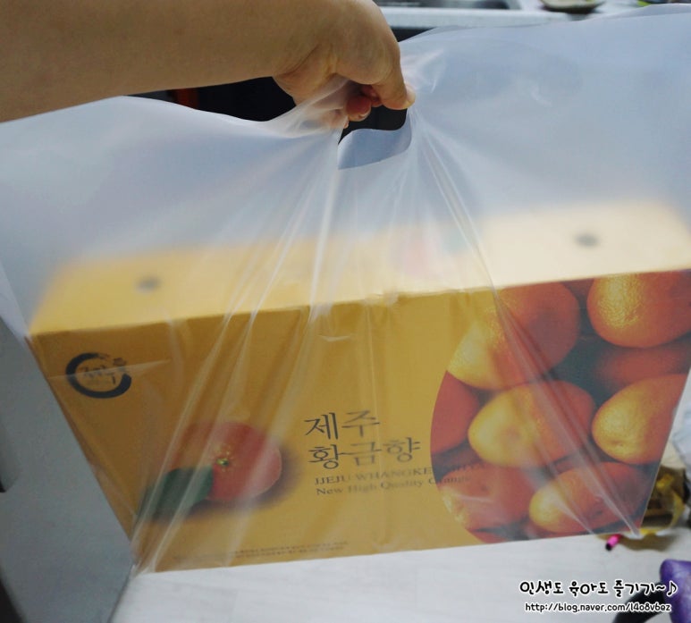 변동청과 이미지