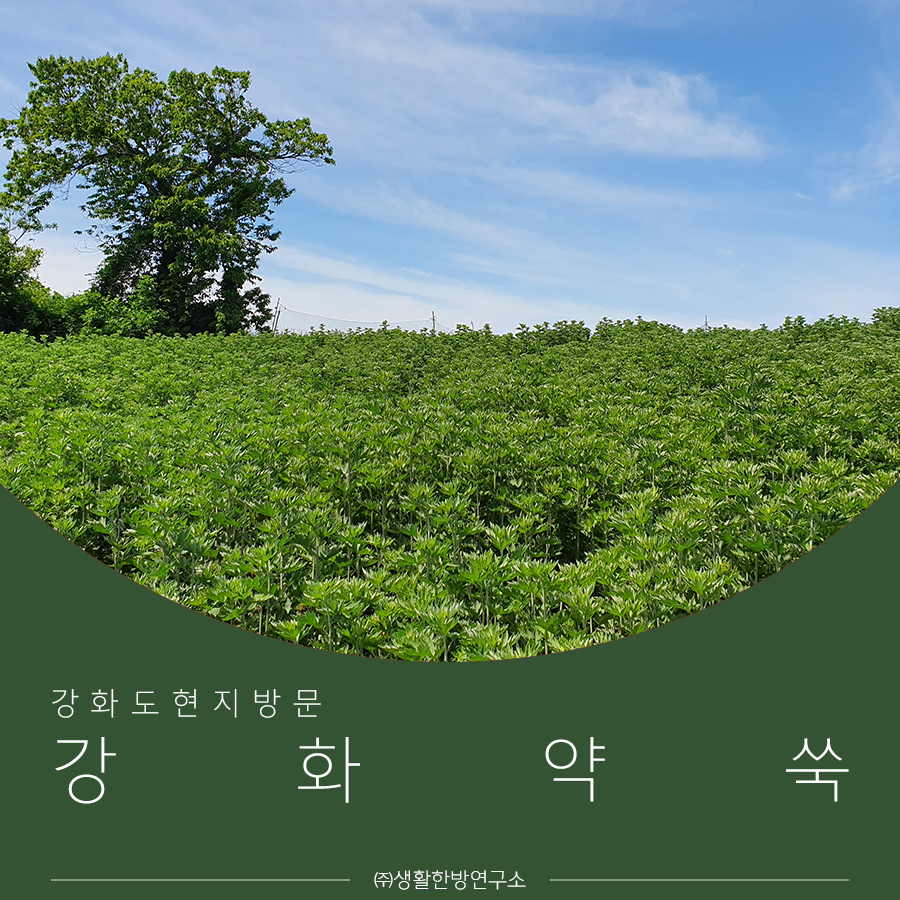 주식회사 단군 이미지