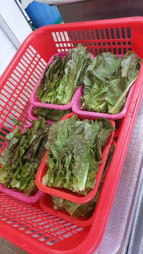 안나수산 이미지
