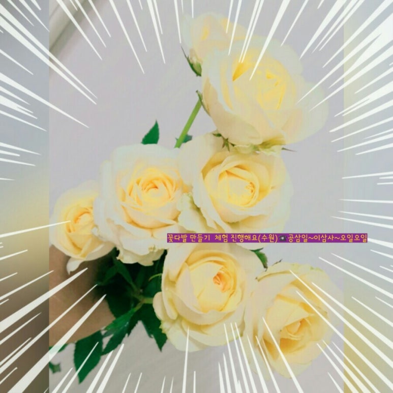 아침향기화원 이미지