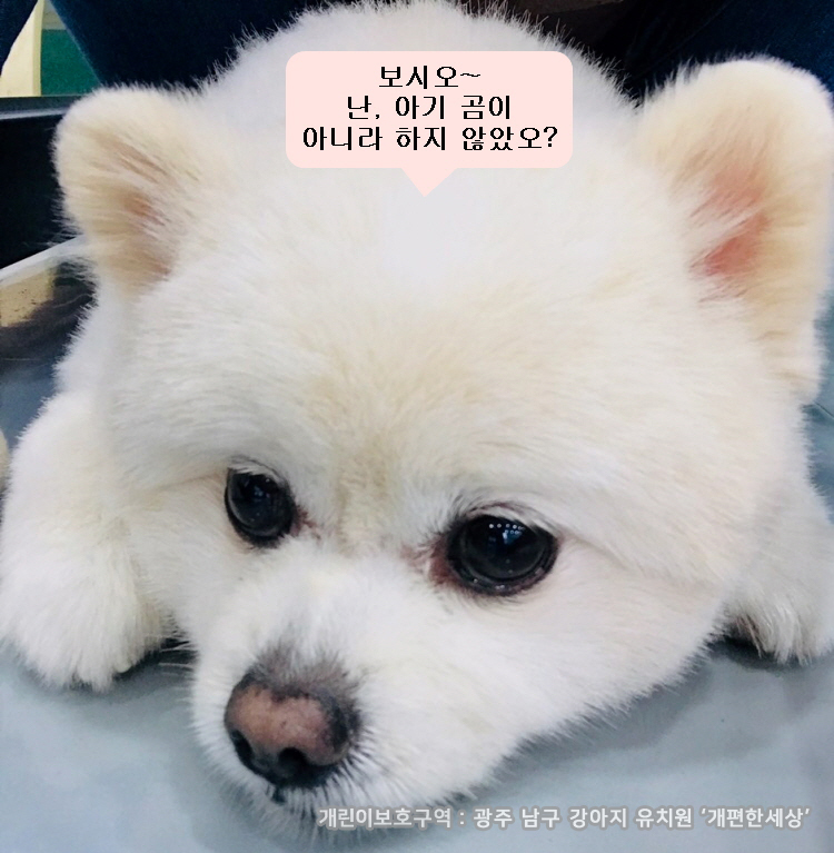 흑진주미용실 이미지