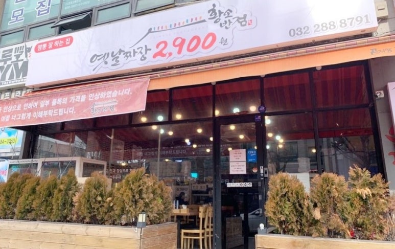 황소반점 이미지