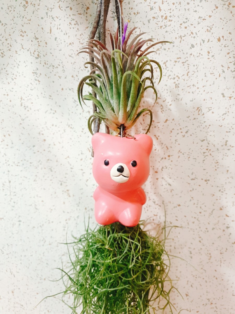 샐빛스터디룸 이미지