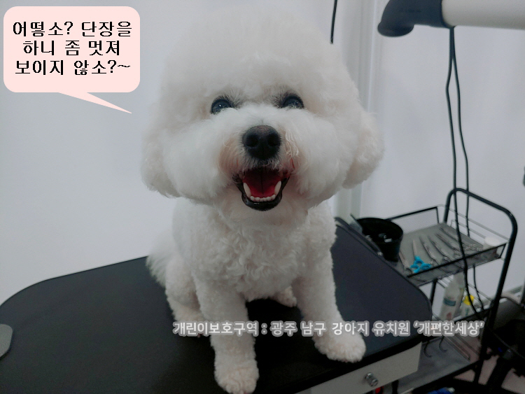 흑진주미용실 이미지