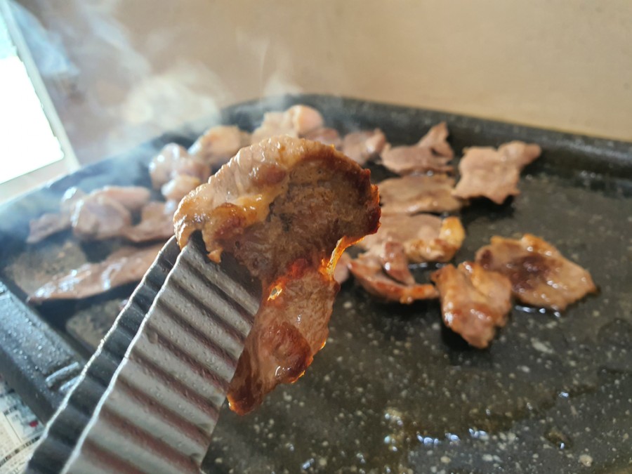 시골오리 이미지