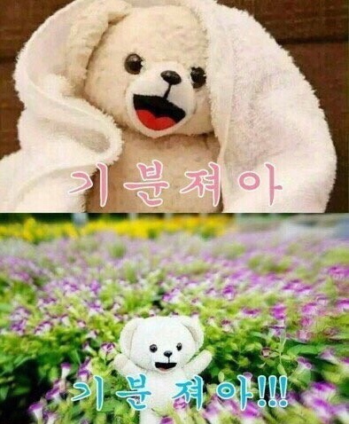 쥬아 이미지